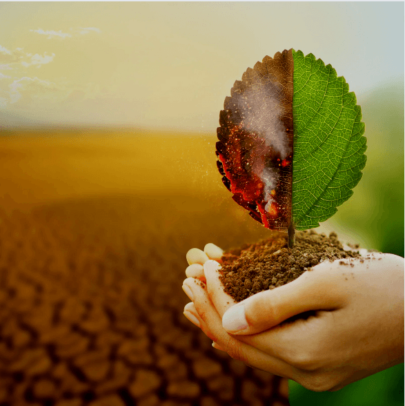 Image of Upaya Mengatasi Perubahan Iklim dengan Teknologi Bersih